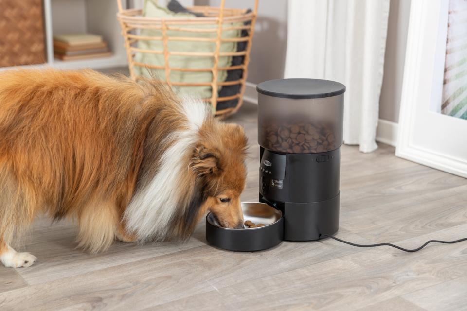 Trixie automatisk foderautomat TX-C Smart