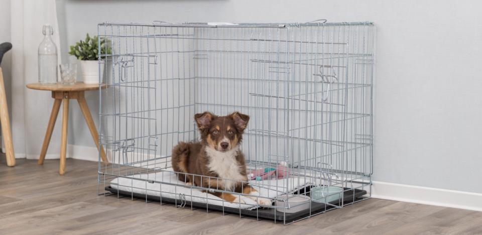 Trixie Sammenleggbart hundebur