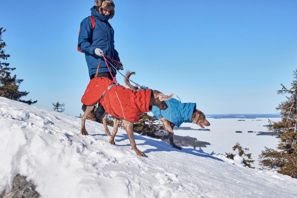 Hurtta Extreme Warmer III ECO hundefrakke