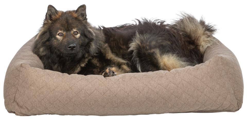 Trixie Caliente hundeseng