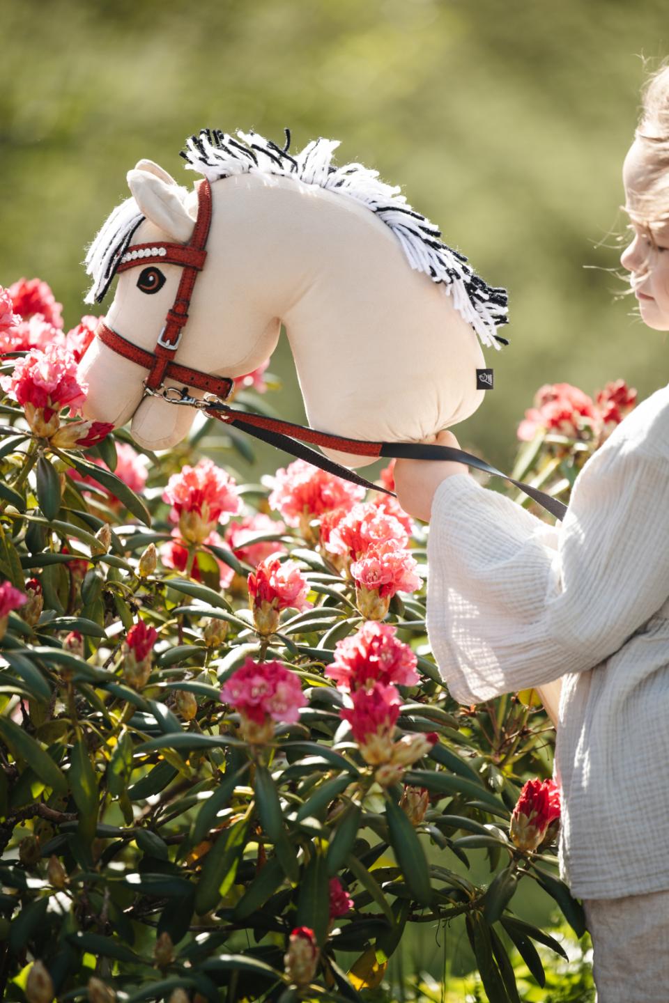 My Hobby Horse Bridle, red glitter