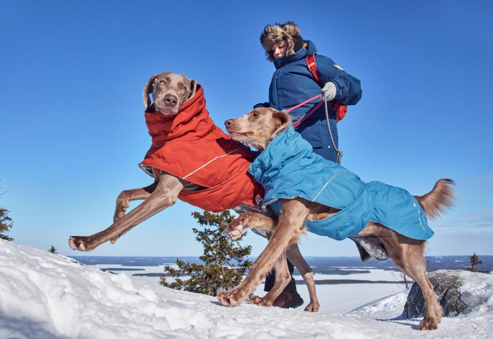 Hurtta Extreme Warmer III ECO hundefrakke