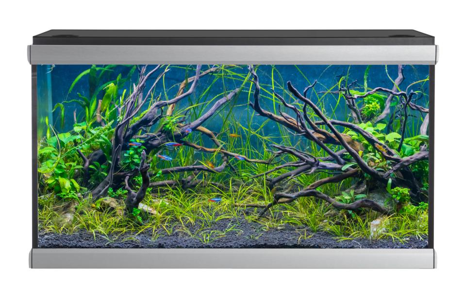 AkvaStabil MOVE Aquarium - 275 Liter