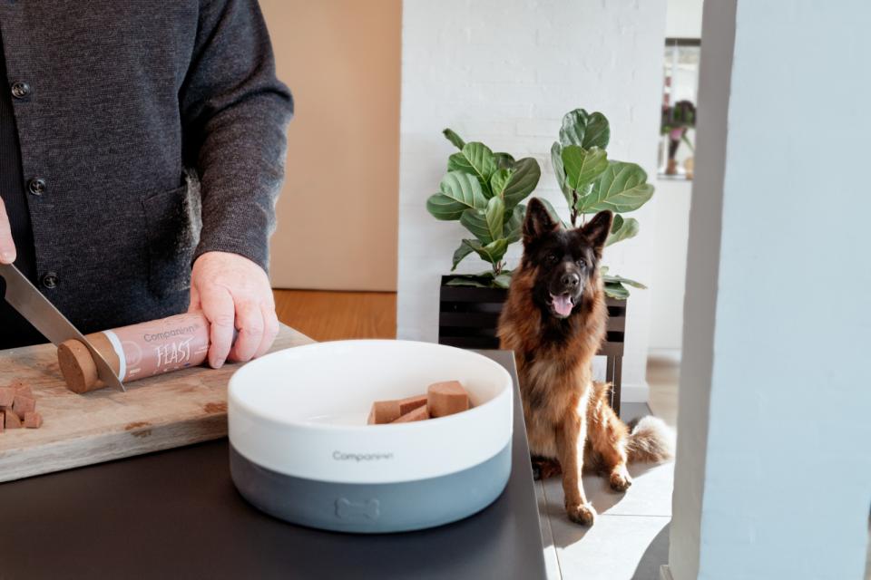 Companion+ FEAST foderpølse til hunde, Hest