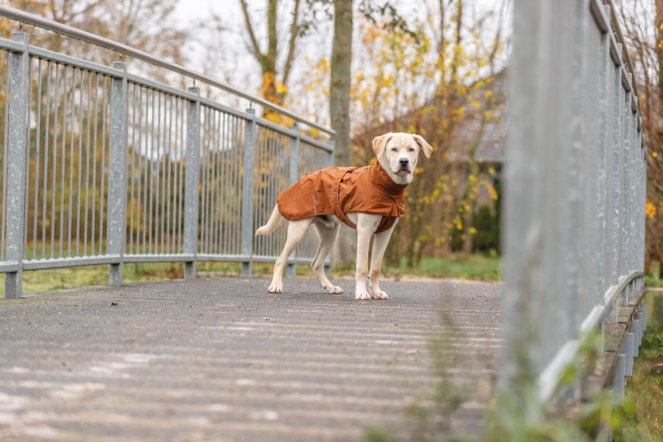 Trixie CityStyle Dublin regnfrakke til hunde
