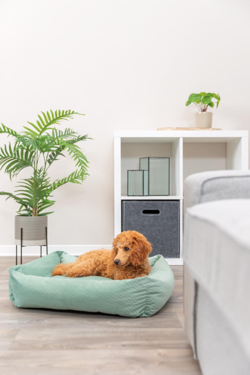 Trixie Alena firkantet hundeseng