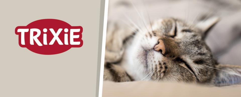 Magnet skilt t. Tego reol kat