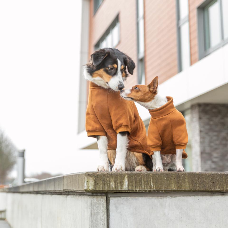 Trixie CityStyle Amsterdam sweatshirt for dogs