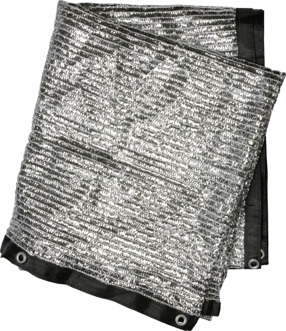 Companion Silvershade