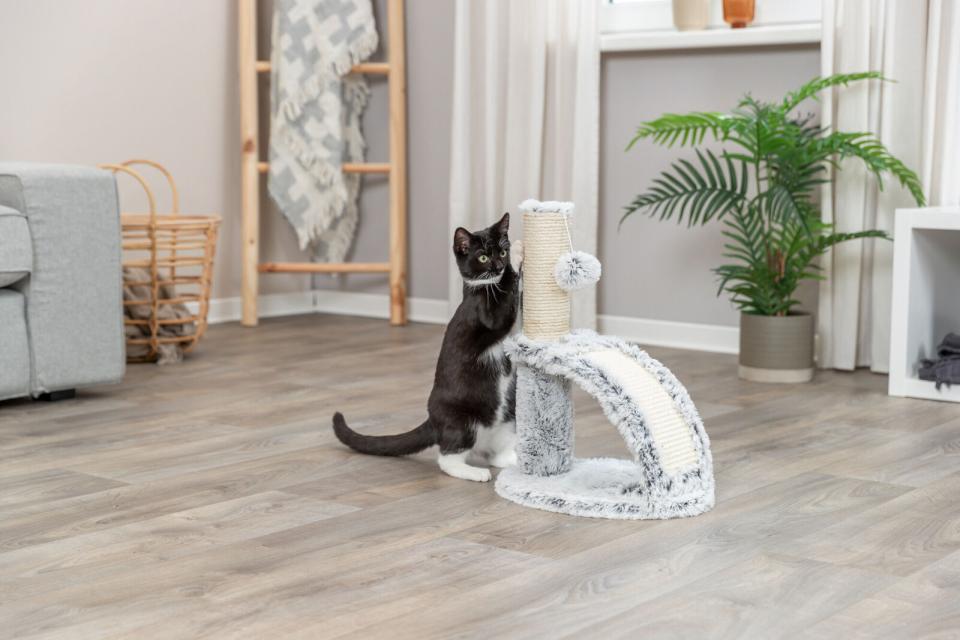 Trixie Junior Winnie kradsetræ med børste