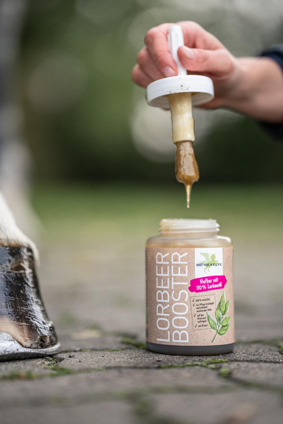 Bense & Eicke Laurbærbooster hovolie