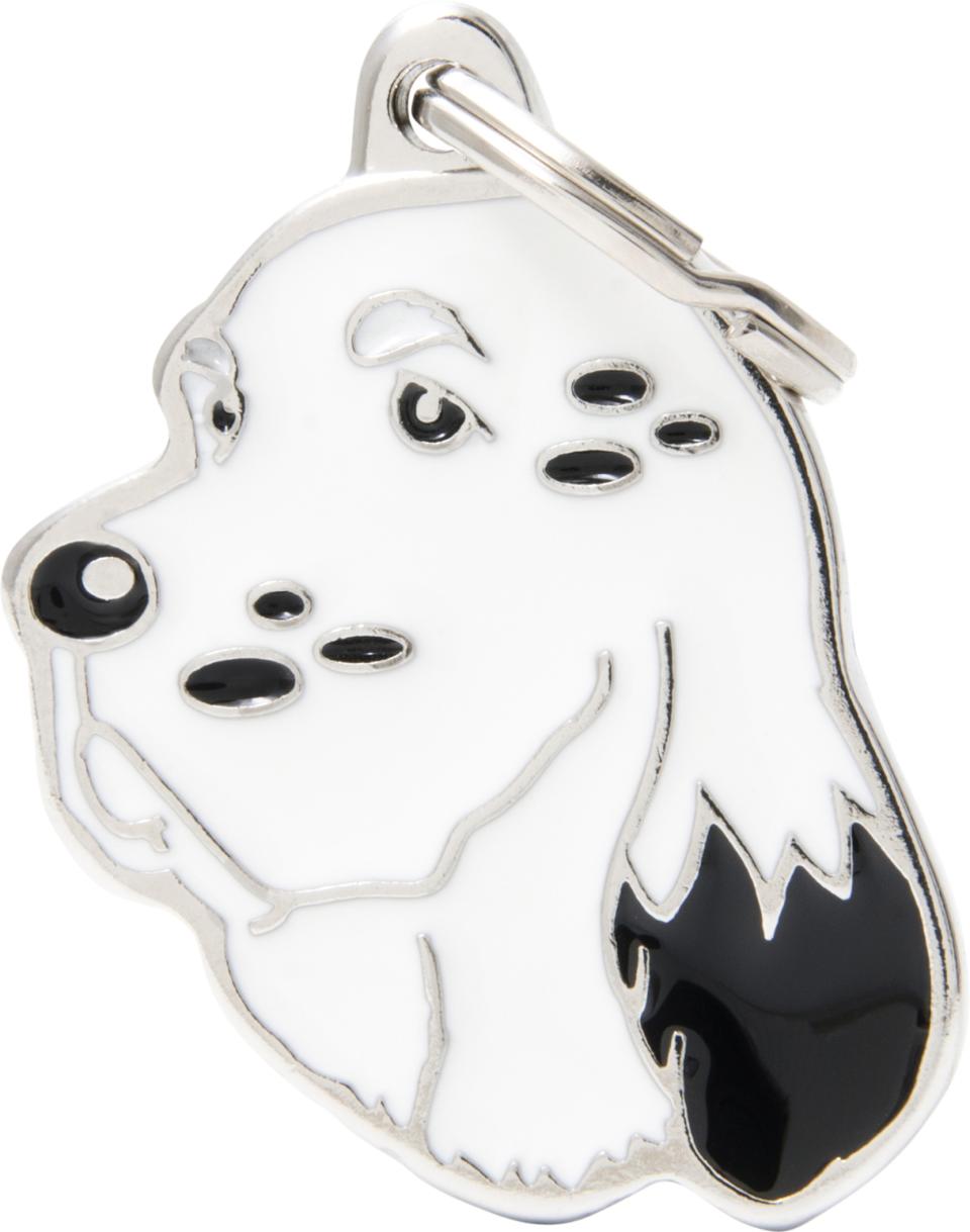 MyFamily Friends, Engelsk setter