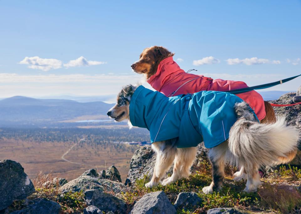 Hurtta Expedition Parka II Hundedecke