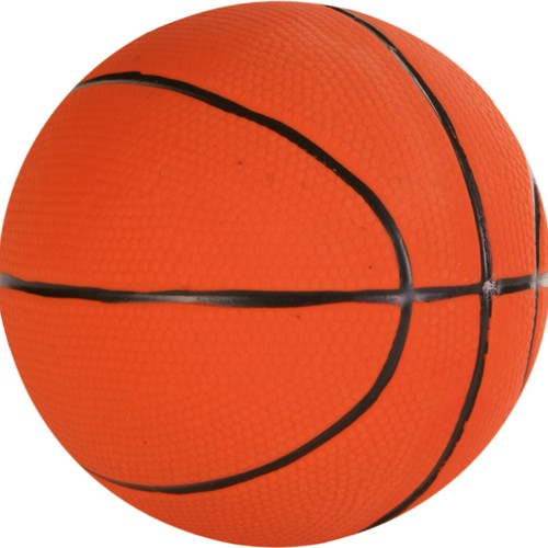 Companion Squeaker Basket Ball