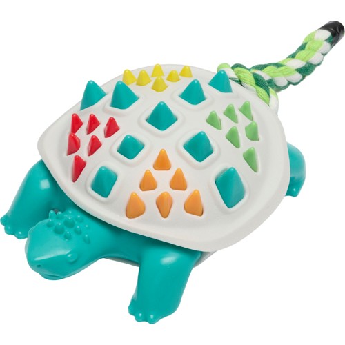 Companion chewing toy - Turtle