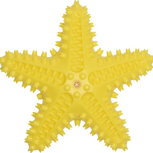 Companion chewing toy - Star