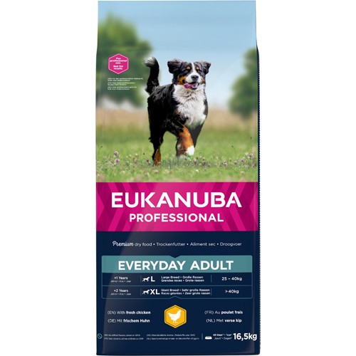 Everyday Adult Large Breed