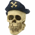 Kranie med pirat hat