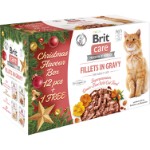 Care Cat Christmas multipack, 12+1