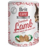 Care Cat Snack Superfruits Lamb