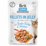 Care Cat Fillets i Jelly w/Turkey+Shrimp