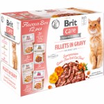 Care Cat Flavour box Fillet in Gravy