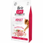 Care Cat GF Adult Activity Support