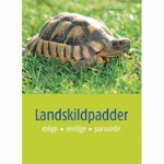 Landskildpadder