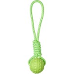 Companion aqua ball on rope
