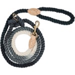 Companion combi-rope leash