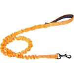 Companion elastic leash