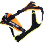 Mantrailing/Outdoor harness