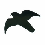 Birds of prey silhouettes