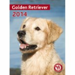 Kalender Golden retriever