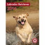 Kalender Labrador Retriever