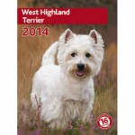 Kalender West Highland Terrier