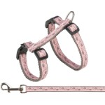 Cat harness with lead