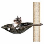 Hammock for Scratching Posts