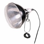 Reflector clamp lamp